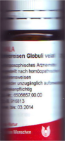 METEOREISEN-Globuli-velati